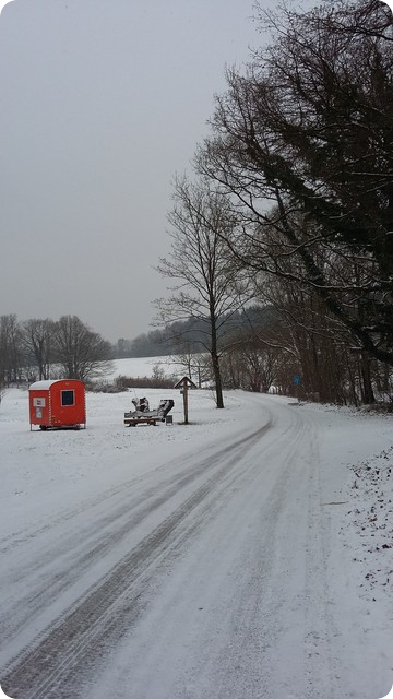北ドイツ　冬　雪