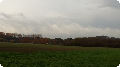 ドイツ　紅葉　雨雲