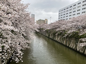 2024　日本　風景