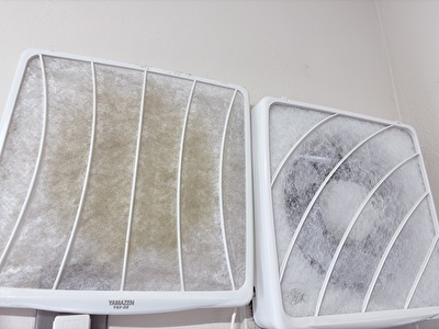 2025 日本 その他