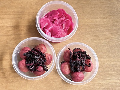 2025 日本 その他