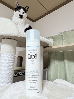 2025 日本 その他