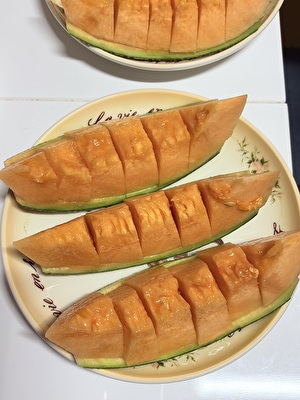 2025 日本 その他