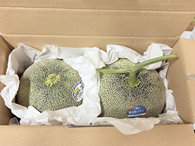 2025 日本 その他