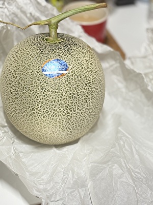 2025 日本 その他