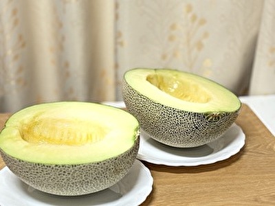 2025 日本 その他