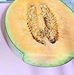 2025 日本 その他