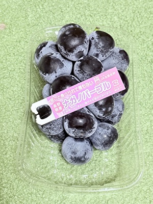 2025 日本 その他