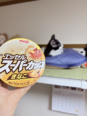 2025 日本 娘たち