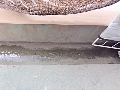 2025 日本 その他