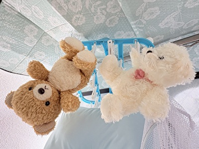 025 日本 その他