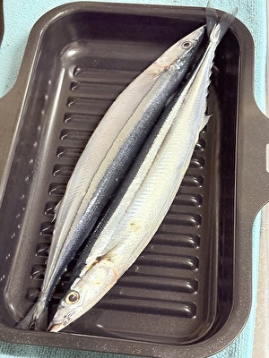 025 日本 その他