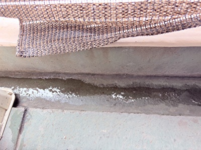 2025 日本 その他