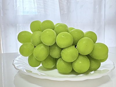 2025 日本 その他