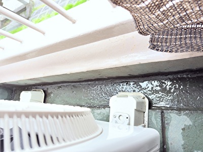 2025 日本 その他