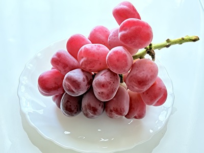 2025 日本 その他