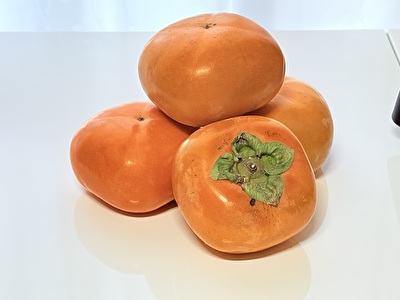 2025 日本 その他