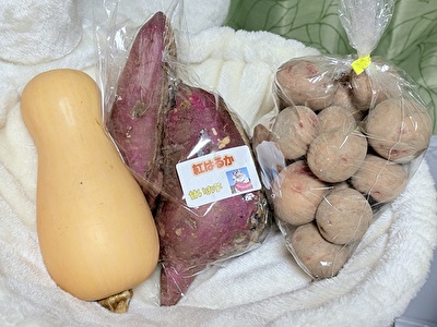 2025 日本 その他