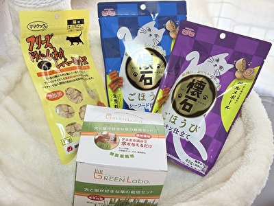 2025 日本 その他