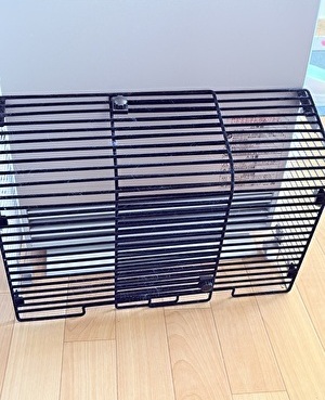 2025 日本 その他