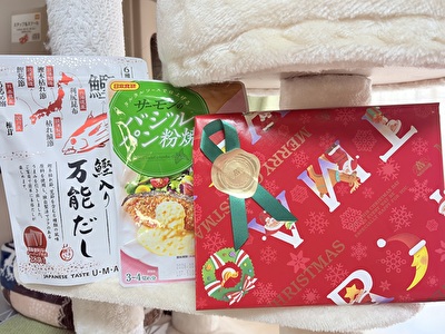 2025 日本 その他