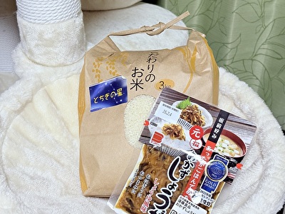 2025 日本 その他