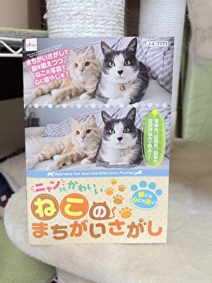 2026 日本 その他