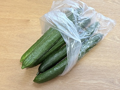 2026 日本 その他